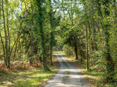 Holiday house Tranquil Escape in Cendrieux - Environment photo 20