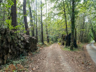 Holiday house Tranquil Escape in Cendrieux - Environment photo 23
