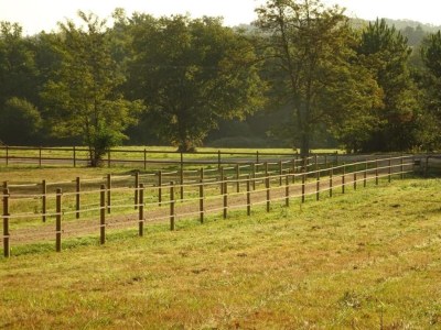Holiday house Tranquil Escape in Cendrieux - Environment photo 29