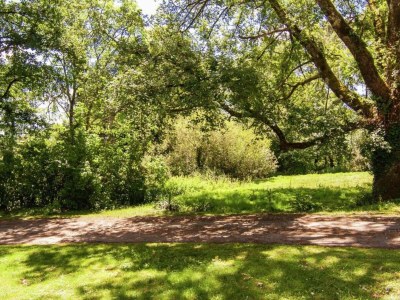 Holiday house Tranquil Escape in Cendrieux - Environment photo 32