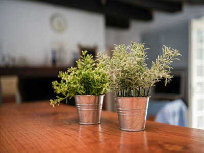 Holiday house Tranquil Escape in Cendrieux - Outdoor photo 40