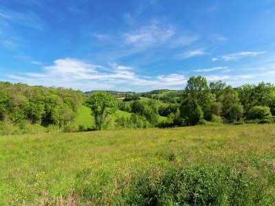 Holiday house Beautiful holiday home with pool in Teillots - Environment photo 39