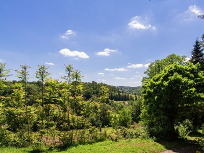 Holiday house Ferienhaus in Bourgnac mit Whirlpool - Outdoor photo 8
