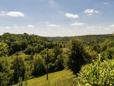 Holiday house Ferienhaus in Bourgnac mit Whirlpool - Environment photo 17