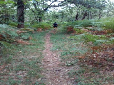Holiday house Ferienhaus in Bourgnac mit Whirlpool - Environment photo 26