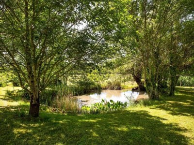 Holiday house Ferienhaus in Bourgnac mit Whirlpool - Environment photo 36