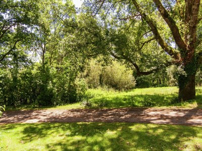 Cottage Ferienhaus in Bourgnac mit privatem Pool - Outdoor photo 12
