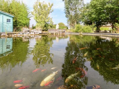 Villa Villa in Saint-Nexans with Private Heated Pool - Outdoor photo 7