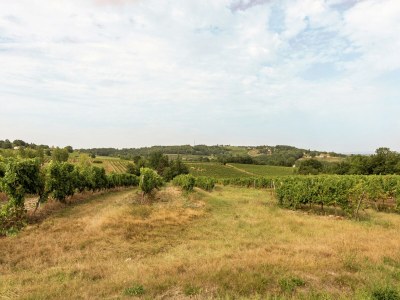 Villa Villa in Saint-Nexans with Private Heated Pool - Environment photo 38