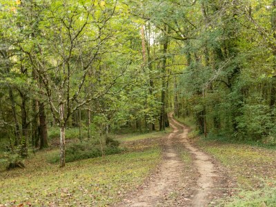 Holiday house Cosy holiday home with garden - Environment photo 32