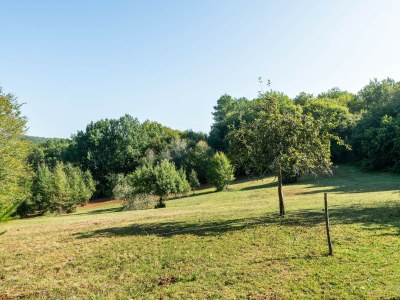 Holiday house Cosy holiday home with garden - Environment photo 36