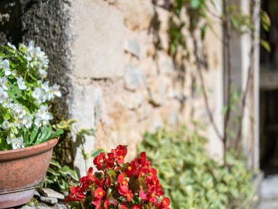 Holiday house Cosy holiday home with garden - Outdoor photo 37