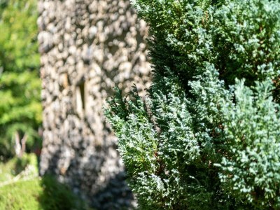 Holiday house Cosy holiday home with garden - Outdoor photo 38