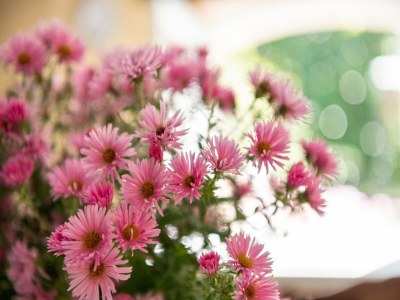 Holiday house Cosy holiday home with garden - Outdoor photo 39