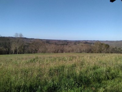 Holiday house Forest View Home in Loubejac - Environment photo 39