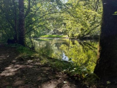 Holiday house Forest View Home in Loubejac - Environment photo 40