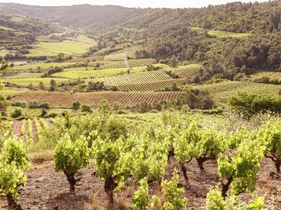 Holiday house Holiday home  with garden - Environment photo 34