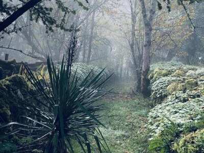 Holiday house Familienurlaub in der Dordogne - Environment photo 26