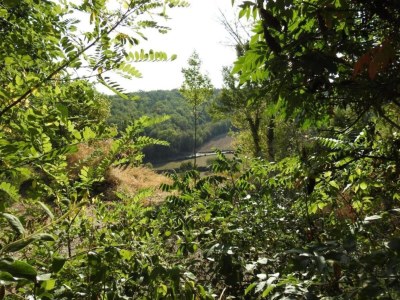 Holiday house Familienurlaub in der Dordogne - Environment photo 30