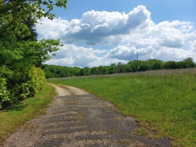 Holiday house Familienurlaub in der Dordogne - Environment photo 31