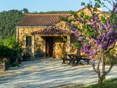 Holiday house Mazeyrolles Waldflucht - Features photo 27