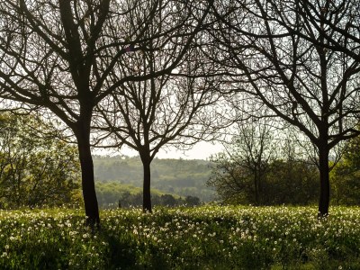 Holiday house Mazeyrolles Waldflucht - Environment photo 31