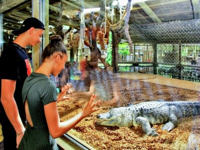 Holiday house Holiday home with swimming pool - Environment photo 29
