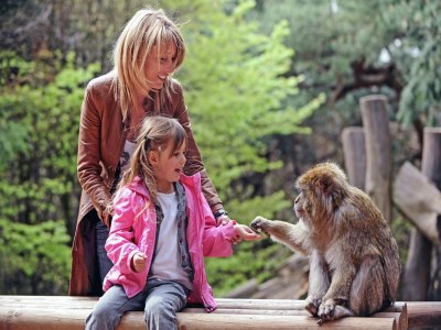 Holiday house Holiday home with swimming pool - Environment photo 30