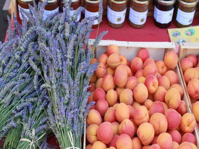 Apartment Cycling Escape in Montbrun - Environment photo 32