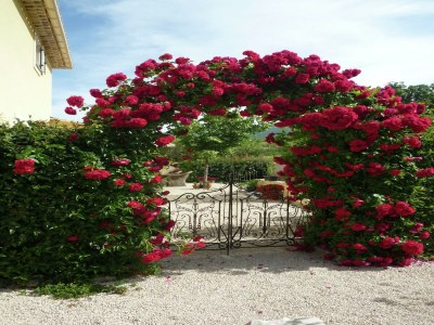Apartment Cycling Escape in Montbrun - Outdoor photo 40