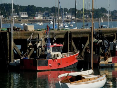 Holiday house Breton Escape in Querrien - Environment photo 18