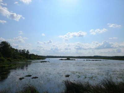 Holiday house Breton Escape in Querrien - Environment photo 21