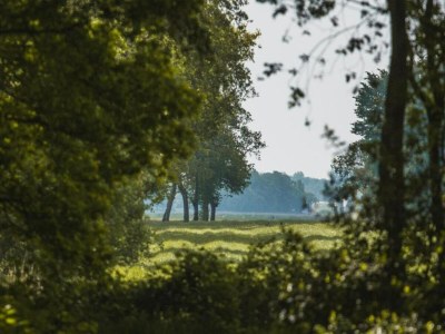 Holiday house Breton Escape in Querrien - Environment photo 24
