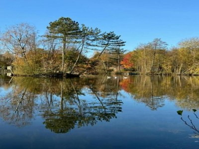 Holiday house Breton Escape in Querrien - Environment photo 34