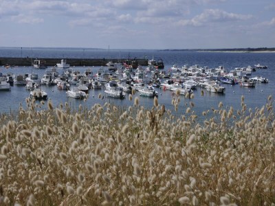 Holiday house Breton Escape in Querrien - Environment photo 37