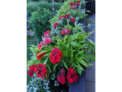 Holiday apartment Schafroth - Features photo 13