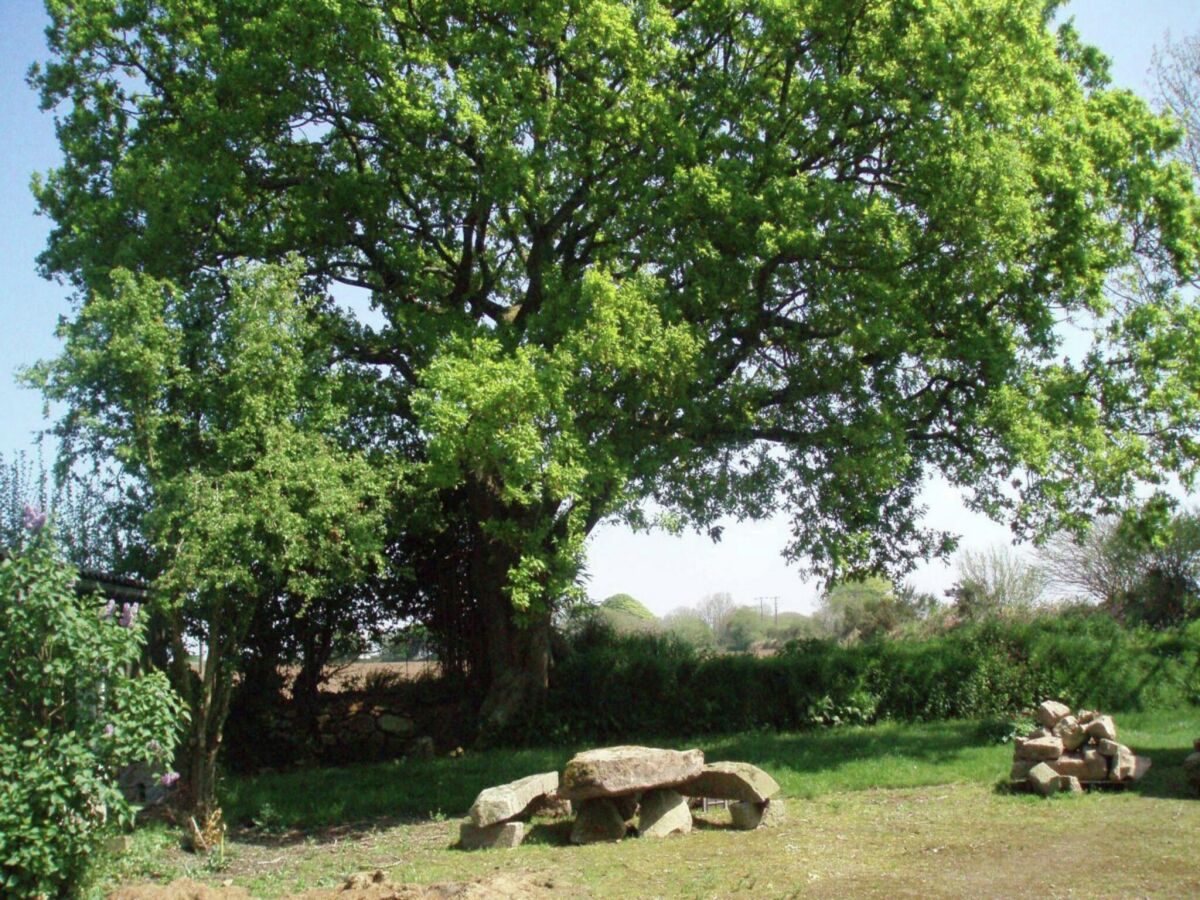 Holiday house Beautiful house with modern interior - Outdoor photo 4