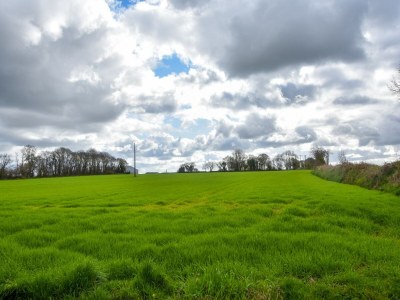 Holiday house Beautiful house with modern interior - Environment photo 24