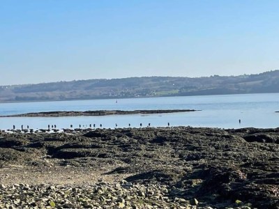 Holiday house Küstenhaus in Logonna-Daoulas - Environment photo 37