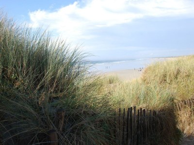 Holiday house Schönes Ferienhaus am Meer in Penmarch - Environment photo 31