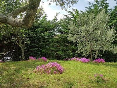 Villa Peaceful Valley View Villa - Outdoor photo 7