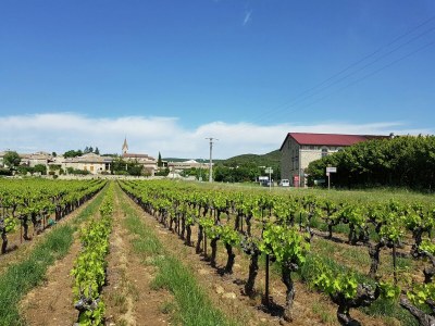 Villa Peaceful Valley View Villa - Environment photo 24