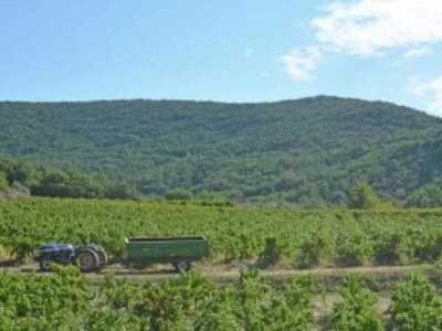 Villa Peaceful Valley View Villa - Environment photo 33