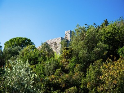 Villa Villa in Lédenon with Private Pool - Environment photo 31