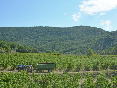 Holiday house Einfache Villa in Barjac mit Swimmingpool - Environment photo 33