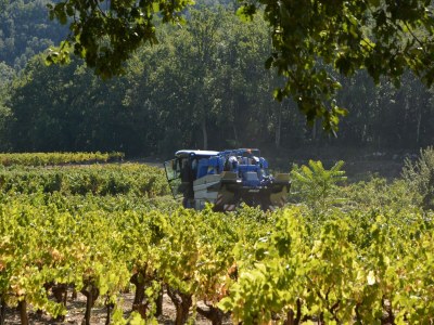 Villa Comfortable villa with swimming pool - Environment photo 32