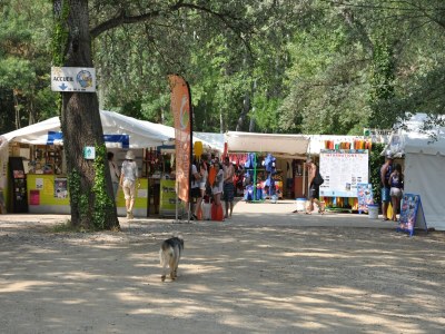 Villa Comfortable villa with swimming pool - Environment photo 39