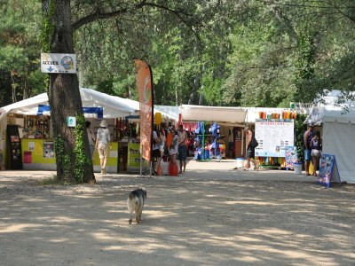 Villa Luxury villa with private pool - Environment photo 37