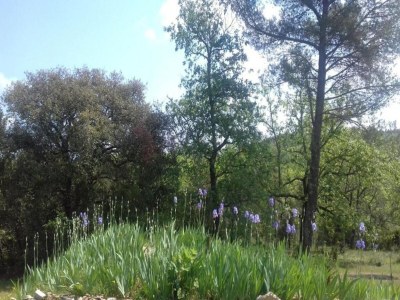 Villa Saint-Brès: Pool & Natur - Environment photo 35