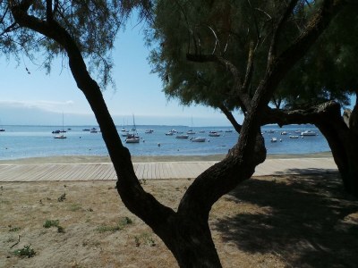 Holiday house Schönes Ferienhaus mit Swimmingpool - Environment photo 52